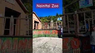 #naintal part -1 itne pass se tiger kbhi nhi dekha🐯🐅🦁#shortvideo  #tourism  #status #ytshorts