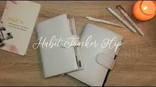 2022 Habit Tracker Setup & 2021 Habit Tracker Flip (Moterm Luxe)