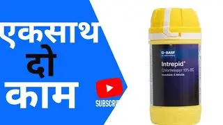 एकसाथ दो काम करेगा ये BASF company का किटकनाशक |#agriculture #farminglife #subscribe #agronomy