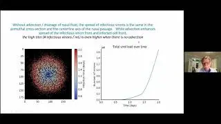 Physiologically faithful, mechanistic modeling to explain observations from inhaled SARS-2 exposures