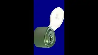 www.chieam.com | flip top cap moulds flip top closures molds closing in mould English