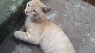 Feliz começo de semana 