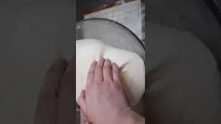 When is your dough done bulk fermenting? #sourdough #sourdoughbread #sourdoughstarter