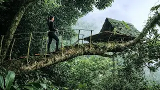 Build a shelter on a fallen tree trunk.survival alone 