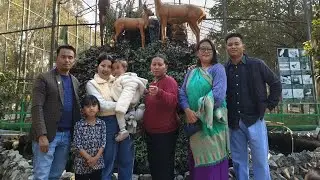 Zoo chtpa vlog 🥰 with kuku and mcha ♥️#familyvlog  #haophaomei 