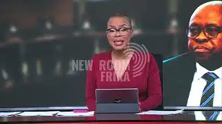 Impact of Madlanga Commission and Parliament's Ad Hoc Committee on SA's democracy