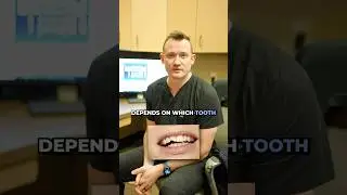 I Chipped My Tooth&mdash;Here&rsquo;s What Happened Next!