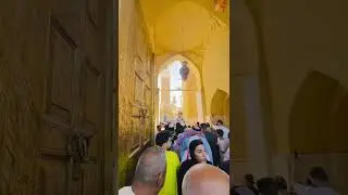 Bagdad Sharif #shorts #feed #explore #badepeer