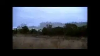 Muddy Water Duck Hunts