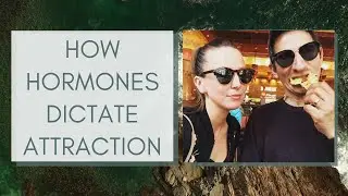 How Hormones Dictate Attraction