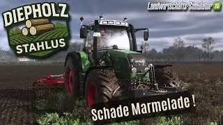 DIEPHOLZ #24 - Das wars dann Wohl ! 🤯 - Keine Gute IDEE ❌🤨