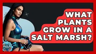 What Plants Grow In A Salt Marsh? - The Marine Life Explorer