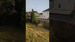 UK right now, don't miss the end #snowfall #ytshorts #uklife #northernireland #statusvideo #shorts