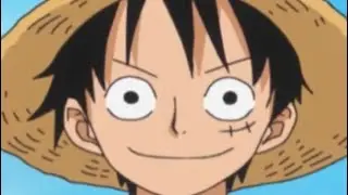 Getting my Granny to name the Strawhat pirates.. credit to @UnsurpassableZ for the idea #onepiece