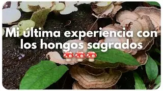 7 Aprendizajes de los 🍄🍄🍄