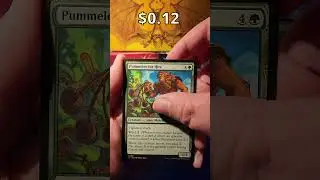 Finally More Shock Lands! - Opening Lorwyn Eclipsed Day 13 #mtg #mtgprices #packopening #magic
