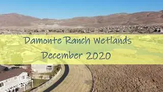 Angst Aerial Imaging Damonte Ranch Wetlands  #DamonteRanch #Wetlands