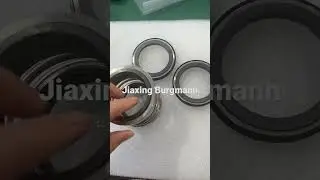 Double face single spring pump seal