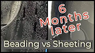 Beading versus sheeting - 6 months later! Who is cleaner?