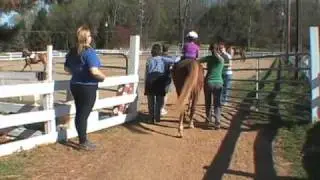 Disabled Find Freedom on Horseback