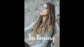 How to section your hair when making dreadlocks