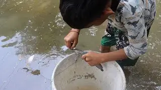 Net fishing at countryside in Cambodia