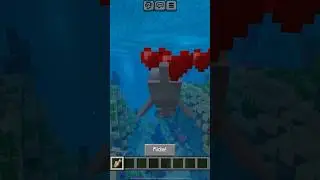 How to tame dolphins in Minecraft 🐬😎💖