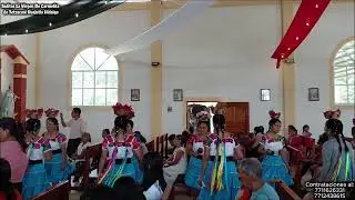 Video 48 - Inditas La Virgen De Carmelita de Tetzacual Huejutla Hidalgo