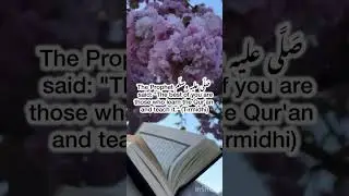 &ldquo;The Best Among You | Learn & Teach the Quran&rdquo; #gentleguidance #dailyreminder