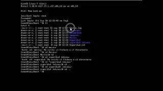 Case Sensitive en Terminal linux