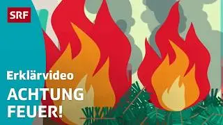 Wie l&ouml;scht man ein Feuer? &ndash; einfach erkl&auml;rt | Kindervideos | SRF Kids