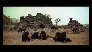 space odyssey - ape