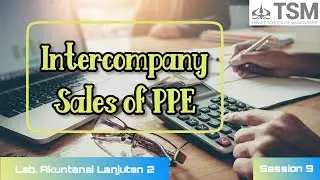 Intercompany Sales of PPE