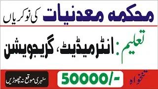 Mines and Minerals Department Punjab Jobs 2022