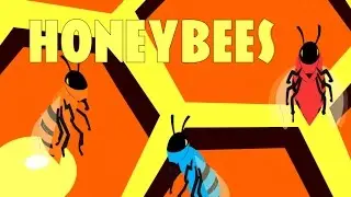 Honeybees And Bumblebees Song Music Video with Lyrics | EdisonSecretLab