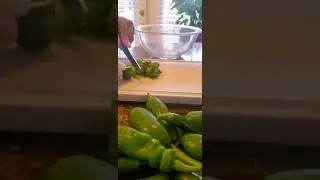 Homemade Garden Pepper Sauce