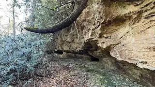 Wildcat Trail Pine Ridge Ky (Exploring Appalachia)