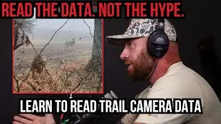 Как правильно читать данные с камер слежения | Не гонитесь только за фотографиями