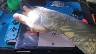 Como resolver erro 2011-0301 NINTENDO SWITCH / how to FIX nintendo switch error 2011-0301