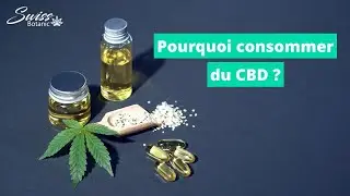CBD Suisse