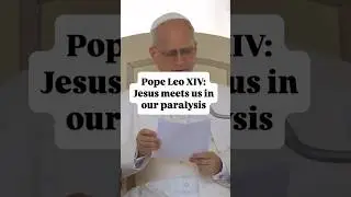Pope Leo XIV reminds us that Jesus meets us in our paralysis and asks: &ldquo;Do you want to be healed?&rdquo;