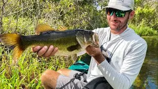 Orlando Bass Fishing (Middle of the City!)