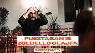 Pusztában is zöldellő olajfa - Réz Ádám 2025.12.29.
