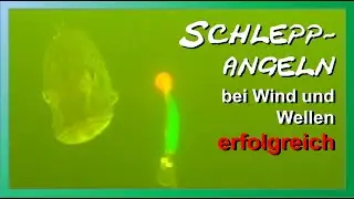 Schleppangeln auf Hecht - Herausforderung Brombachsee bei Wind und Wellen…