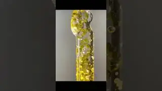 gisou honey infused hair repair serum|#shorts #short #youtubeshorts #trending #shortvideo #best