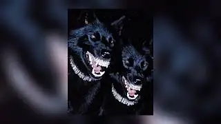 Miss Construction Theme - (Slowed and reverb)