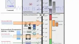 Dirty Electricity Explained