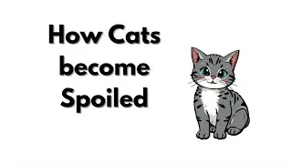 HOW CATS BECOME SPOILED 😼