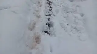 pakistan swat kohistan snowfall 2023 natural beauty