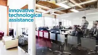 An innovative ecosystem